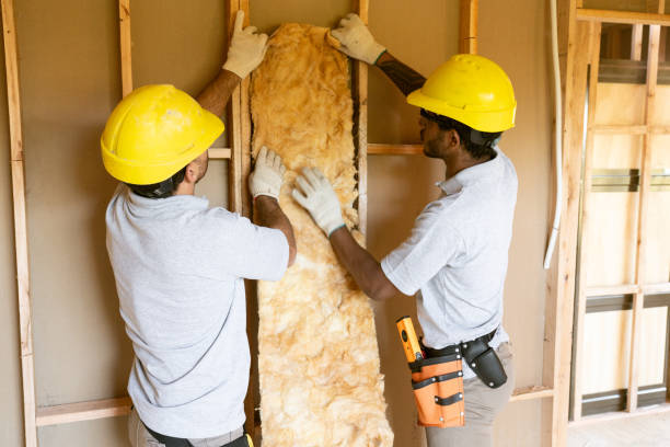 Best Insulation Contractors for Homes  in The Hills, NJ