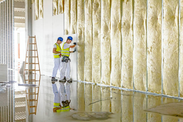 Trusted The Hills, NJ Insulation Contractor Experts